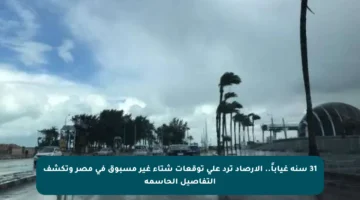 31 سنة غياباً.. الأرصاد ترد على توقعات شتاء غير مسبوق في مصر وتكشف التفاصيل الحاسمة